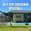 방도리힐스A | 방도리힐스 A동 서울근교 강아지 수영장 운동장 대관 모임 생일파티