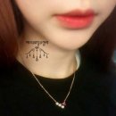 플라빈