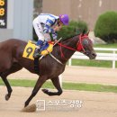 마: 뉴