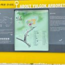 경순왕릉 해설사의 집 | 율곡수목원, 연천호루고루, 황포돛대, 경순왕릉, 어락생선구이 여행후기