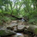 동천조경 이미지
