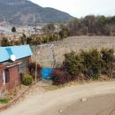 다래농장 이미지