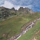 돈키호테 로시난테 카카오 검색결과