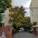 동원1차아파트경로당 이미지