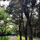 정왕2교 이미지