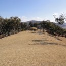 이완 묘 및 정려각 이미지