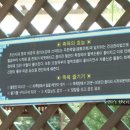 척산족욕공원 티스토리