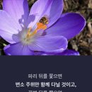 장강실업 이미지