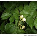 윗말농장 이미지