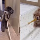 나랑놀개 이미지