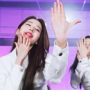 시시러브