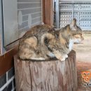 해로당