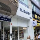 엘리자펫 | 대전애견용품은 &lt;엘리자펫&gt;에서! 예쁘고 귀여운거 가득!! 사랑스러움 극치