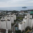 서귀포우리공인중개사사무소 이미지