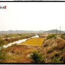 서천MTB 이미지