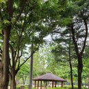 침묵속에피어나는우리 이미지