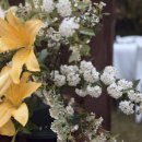 대홍관 | 화담필름 본식DVD - 대홍관 야외웨딩 본식영상