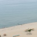 (주)아름다운인제관광 | 2026 숙박세일 페스타 여름 인구감소지역 쿠폰 할인 반값여행