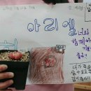 하늘정원다육이