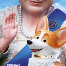 프린스 코기 이미지