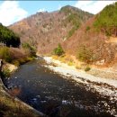 도 경계 도화동산 티스토리