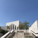 패밀리 하우스 | 아부다비 여행 필수 코스, 루브르 앞 무료 명소 아부다비 아브라함 패밀리하우스 예약·복장 후기