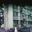 세로모