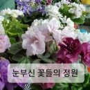 고니농장 이미지