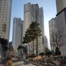 도안북로 이미지