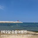 더원(대동) | [여행]여름엔 강릉 못잃어.../1박2일 강릉 여행기 2025.08.24~2025.08.25