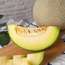 농장특가 26,000원! 08.07 금요일 배송 (특상품, 못난이) 고당도 &#39;자이언트&#39; 얼스 멜론, 8~10kg 이미지