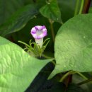 낙동강변8 이미지