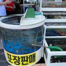 딸부잣집 펜션 | [홍성여행] 언택트 여름휴가(순수펜션, 남당항 대하, 백반기행 맛집, 카페드하리)