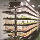 강소농장 이미지