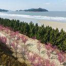 신안 이미지