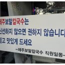 제주보말칼국수 이미지