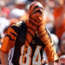 익스트림패션 이미지