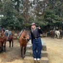 씨유제주성산중앙점 | 제주도여행필수코스 성산디저트 목장카페 밭디 승마 먹이주기 이색자전거 이용후기