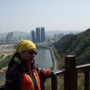 솔마루길 남산 이미지