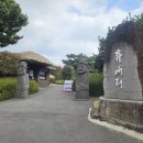 동백농원 | 제주 휴애리 동백현황