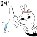 피쉬실내바다낚시터 이미지