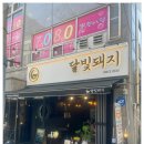 달빛돼지