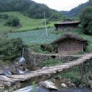 그리움 그리다 이미지