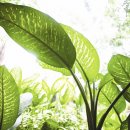 동명당한의원 이미지