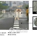 서울포장 이미지