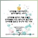 반려동물 아로마 테라피 자격증 이미지