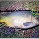 대명낚시터 이미지