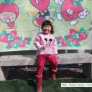 벌말농원 이미지