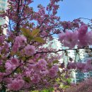 해솔내과의원 이미지