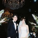 전참시방송후기 프로N잡러 MBC김수지아나운서 정보 책 고양이